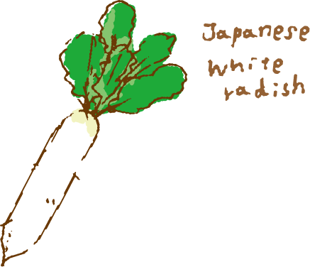 japanese white radish